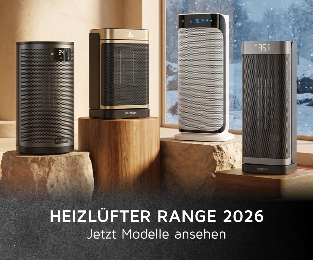 Brandson-Heizlüfter in verschiedenen Designs und Farben auf Holzklötzen und Steinen vor einem Fenster mit Winterlandschaft.
