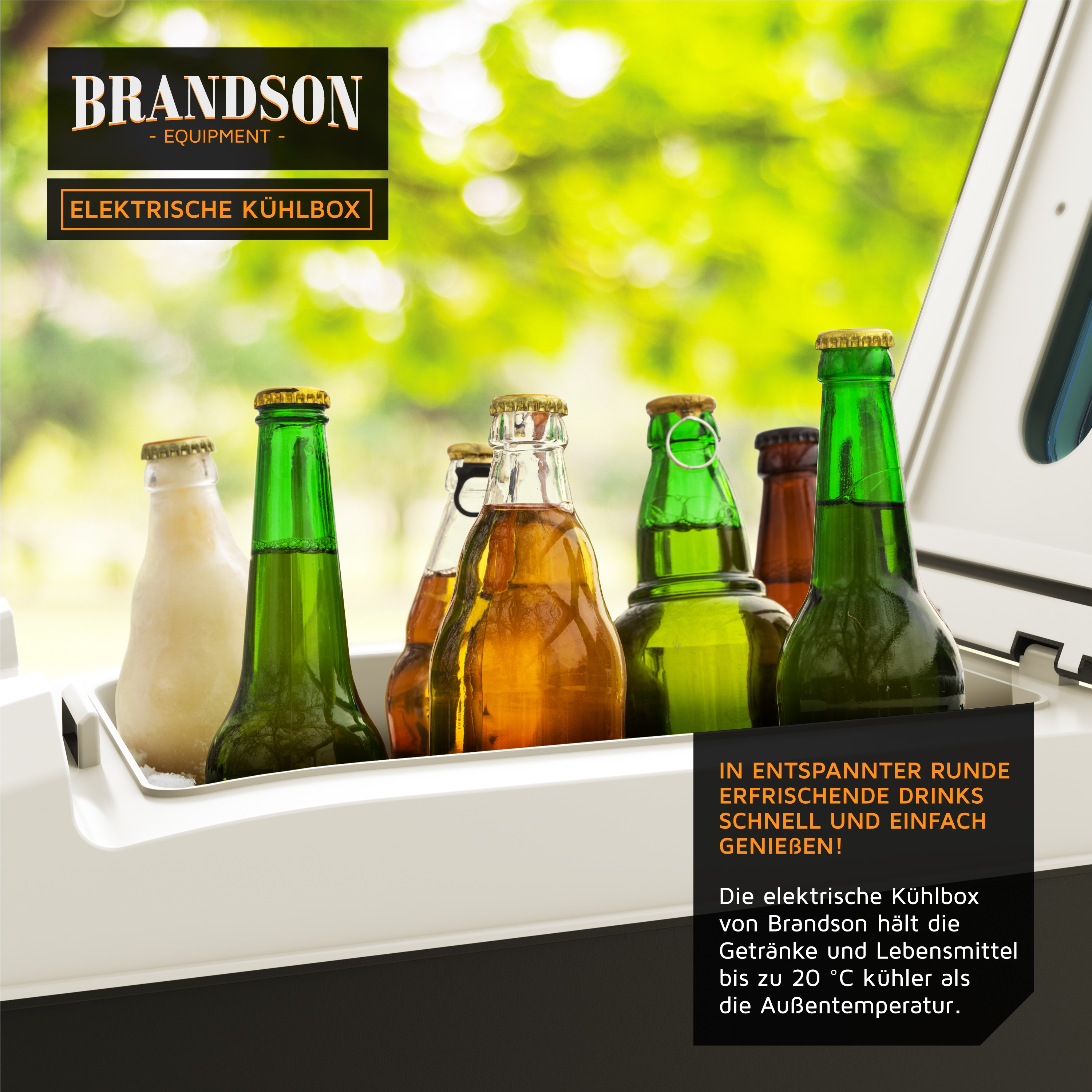 Brandson elektrische Kühlbox mit verschiedenen Getränken, in einem hellen Raum, mit einem weißen und grauen Gehäuse.