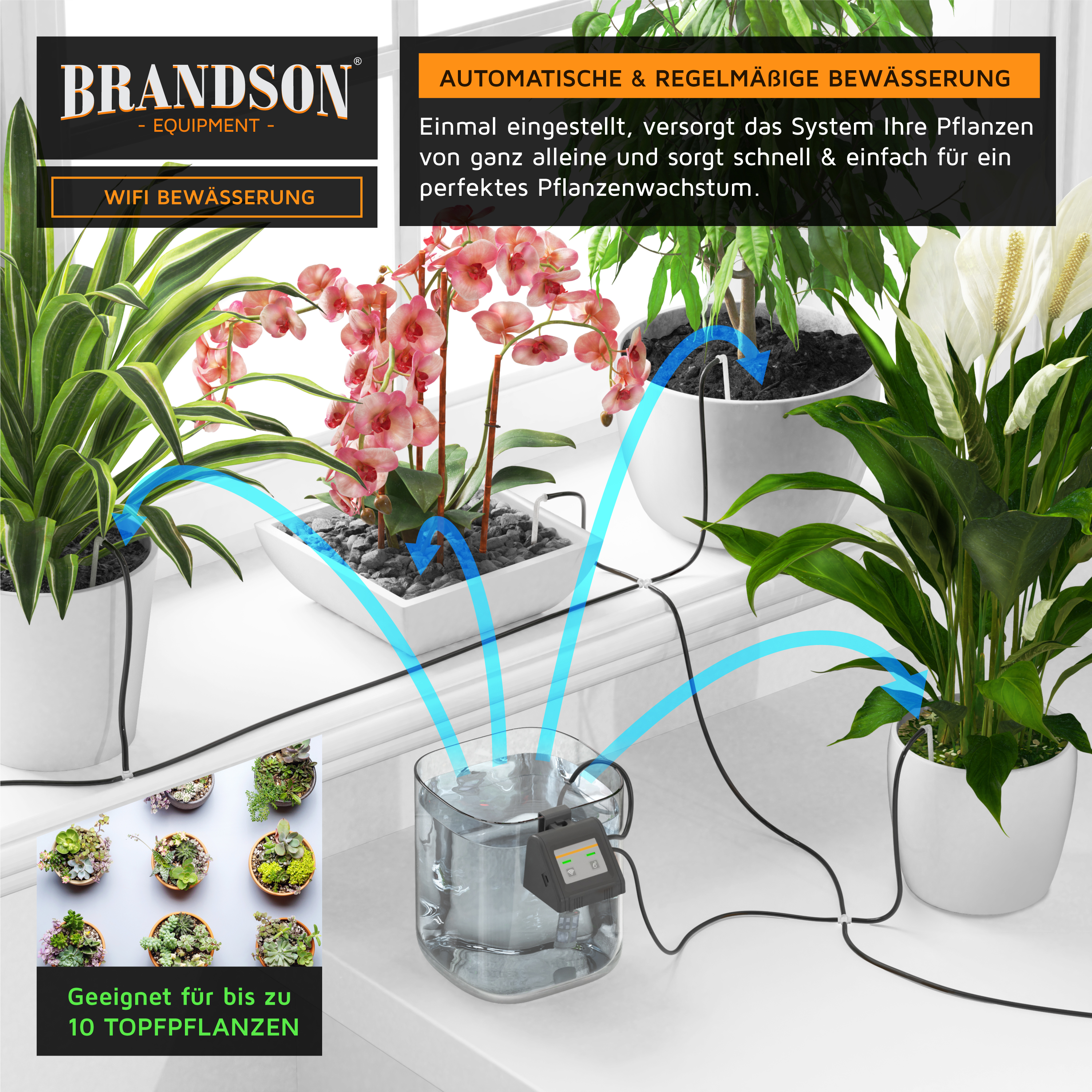 Brandson automatische Bewässerungsanlage mit Wassertank und Steuerung, ideal für bis zu 10 Topfpflanzen, in Nutzung auf einem Tisch.