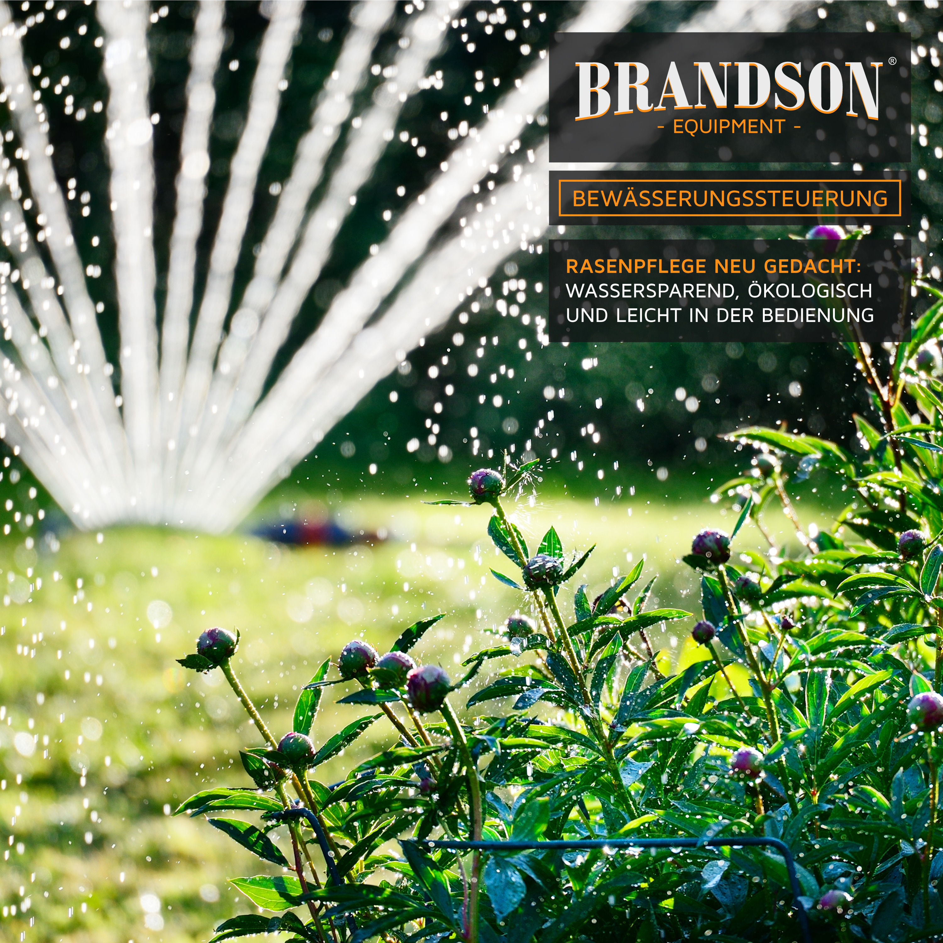 Brandson Bewässerungssteuerung mit Sprühnebel über grünen Pflanzen im Garten, ideal für die Rasenpflege.