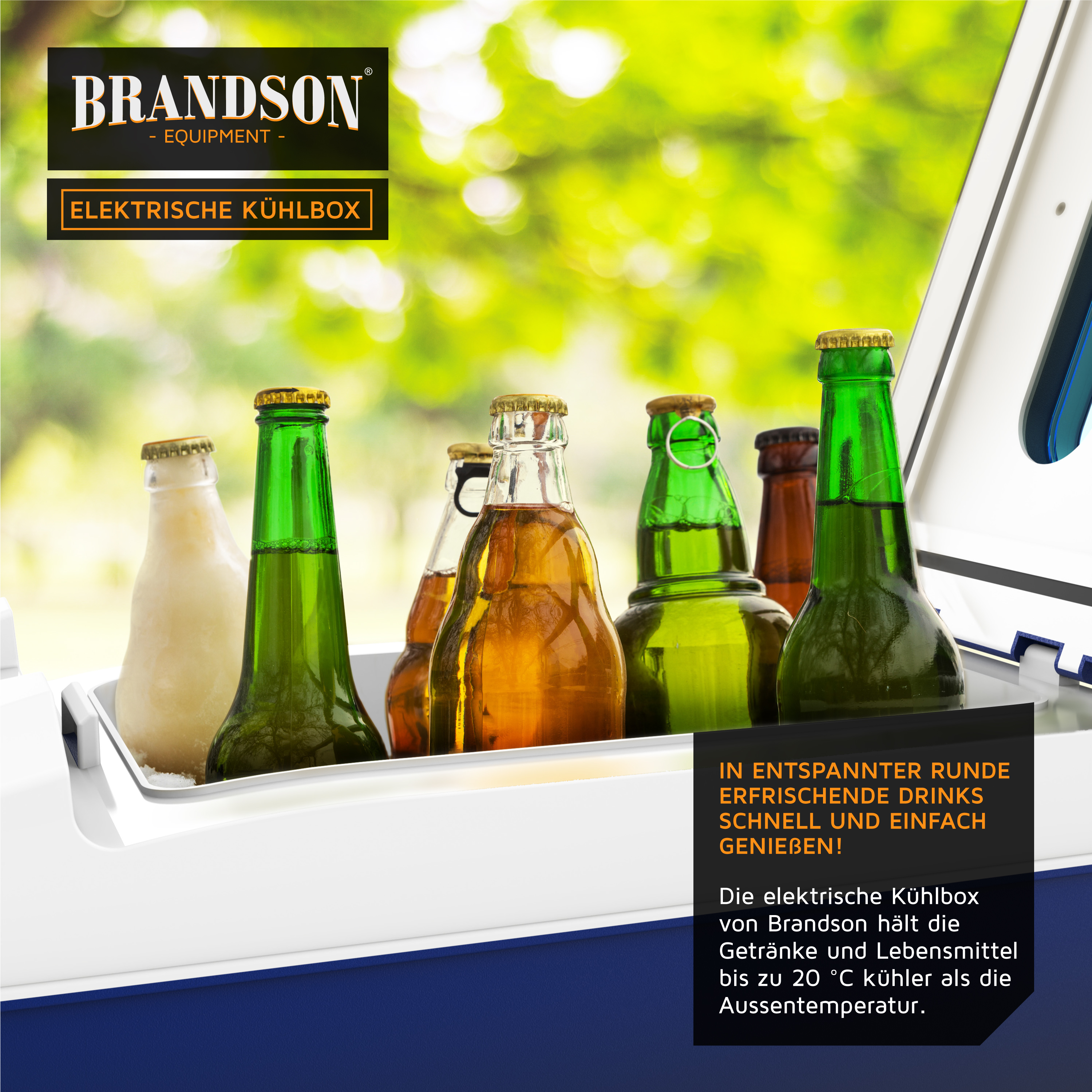 Brandson elektrische Kühlbox mit verschiedenen Flaschen in einem hellen, modernen Design, ideal für die Aufbewahrung von Getränken und Lebensmitteln.