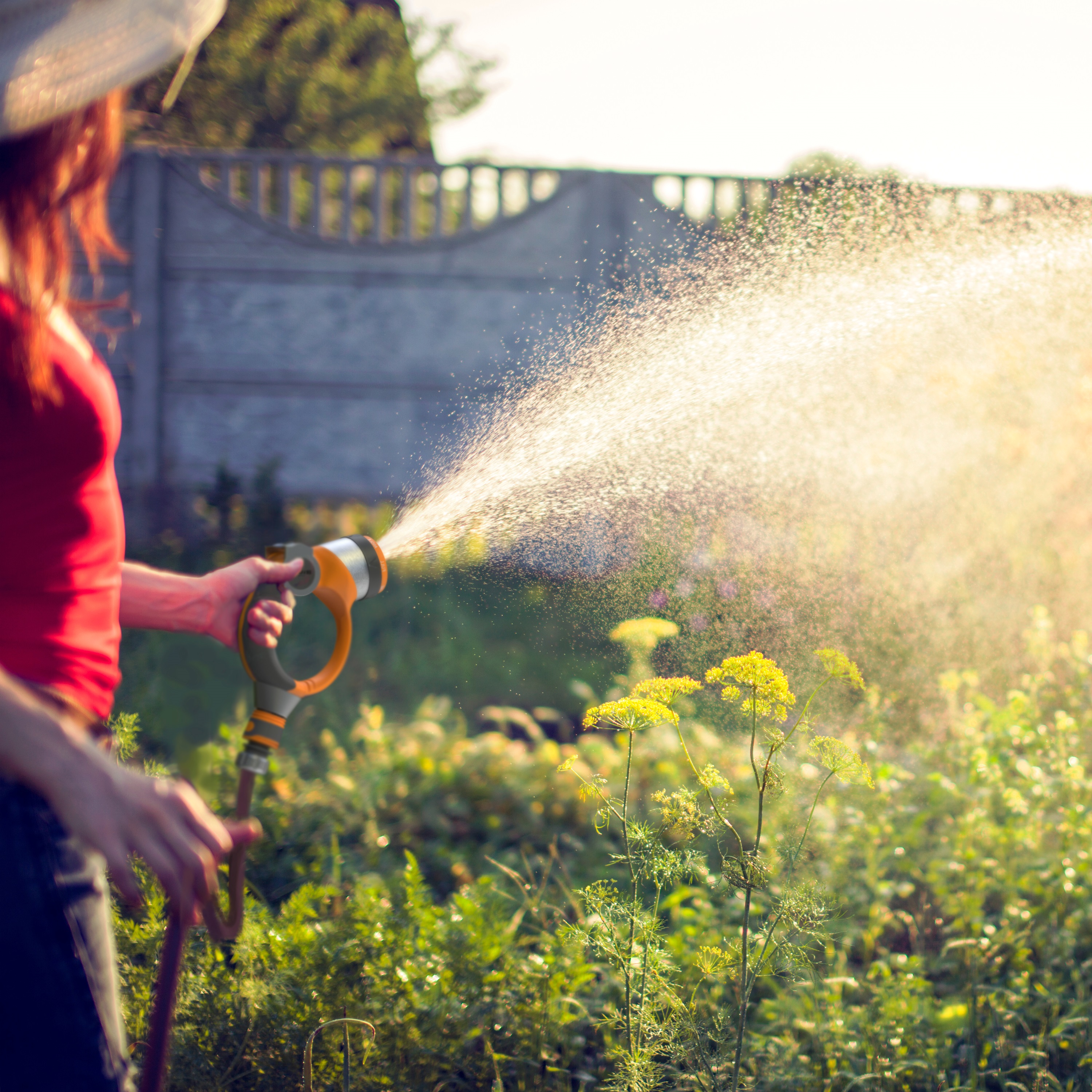 Eine Person gießt Pflanzen mit einem Gartenschlauch mit orangefarbener Düse in einem sonnendurchfluteten Garten.