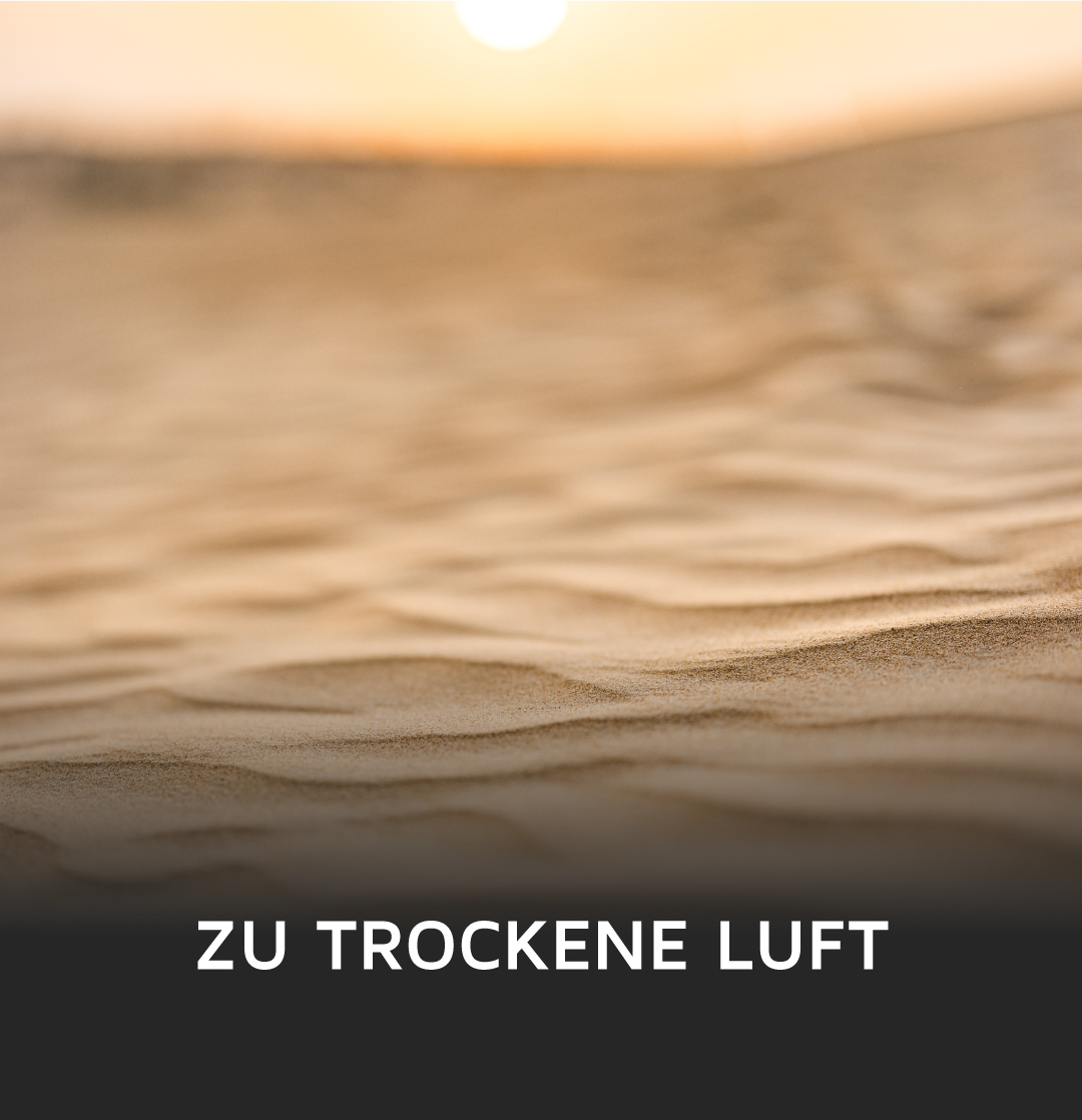 Brandson mobiler Luftkühler in einem modernen Design, ideal für die Kühlung in trockenen Umgebungen, mit einem klaren Display und praktischen Rollen.