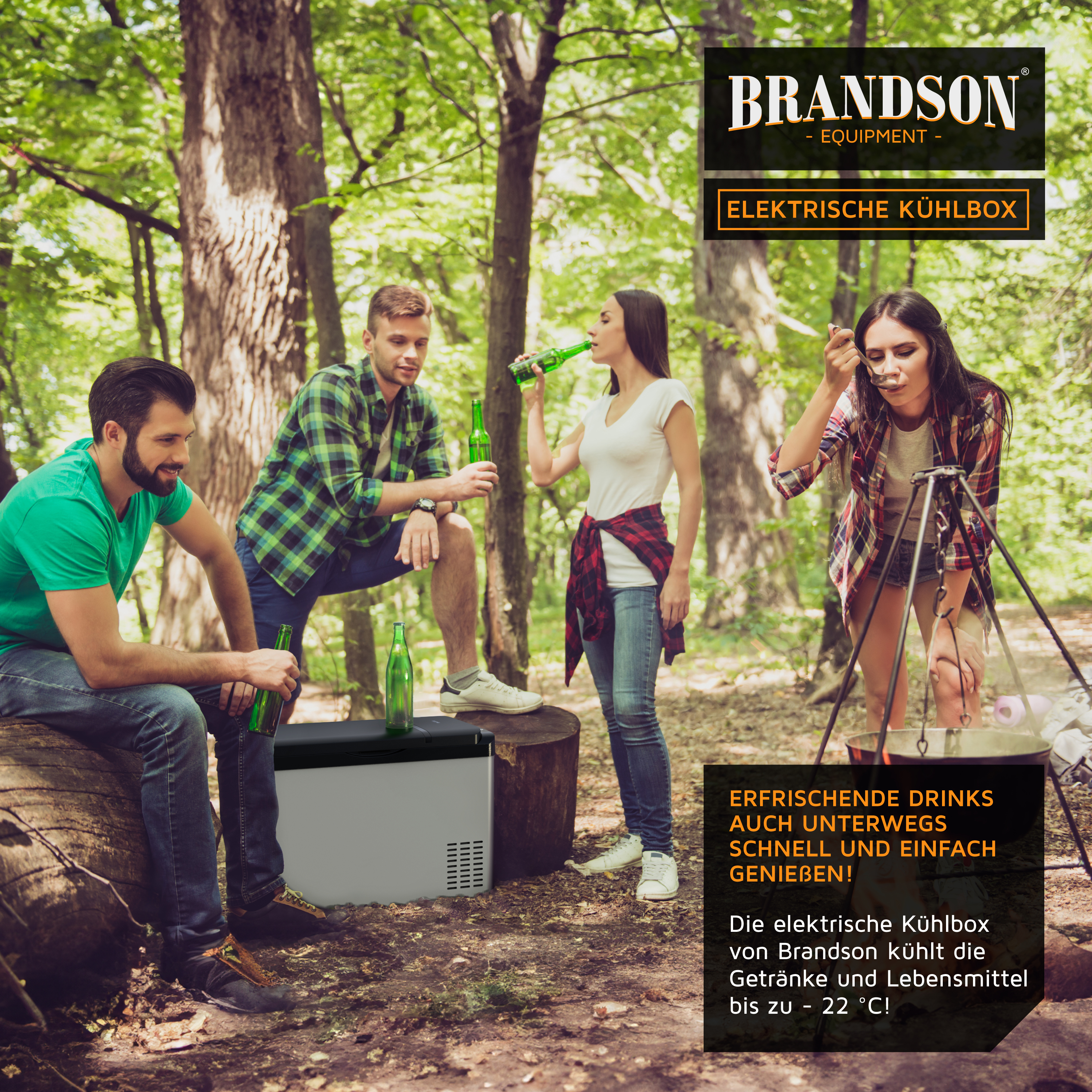Brandson elektrische Kühlbox in der Natur, grau mit schwarzem Deckel, umgeben von Freunden mit Getränken.