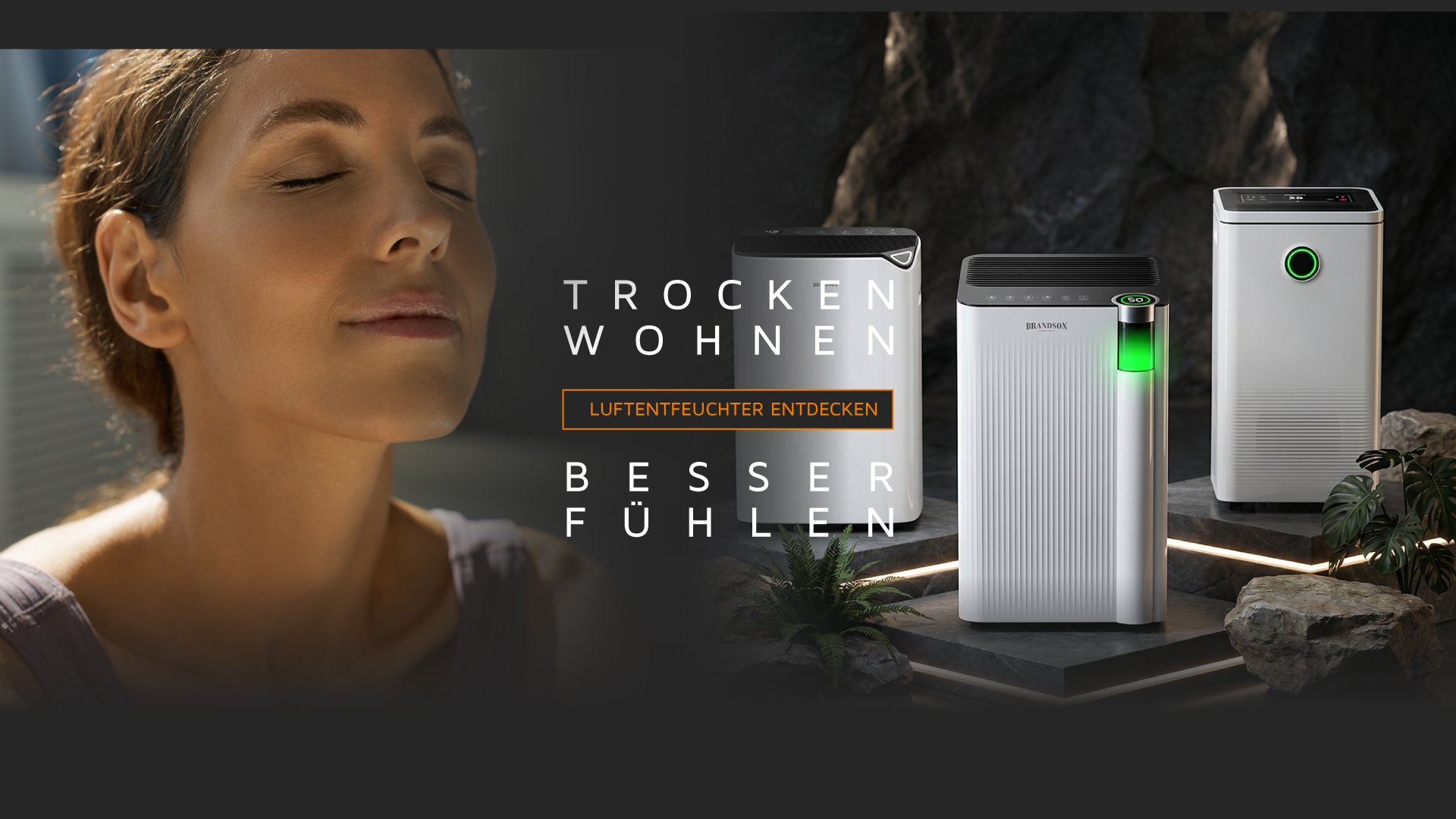 Brandson Luftentfeuchter im modernen Design mit LED-Anzeige und Bedienfeld, platziert in einer natürlichen Umgebung.